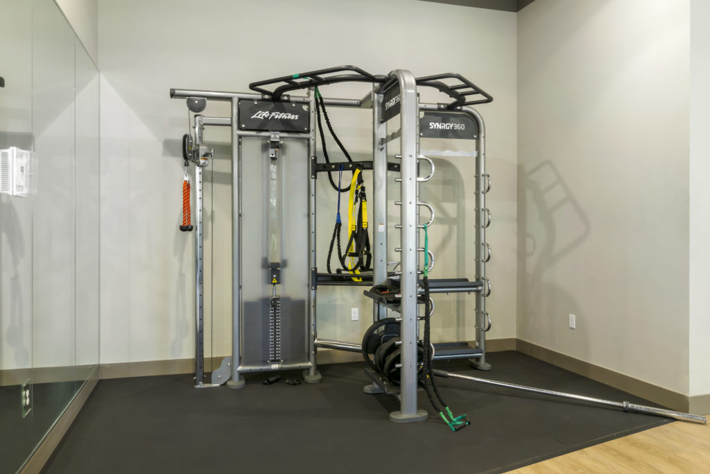 fitness center with functional training rig